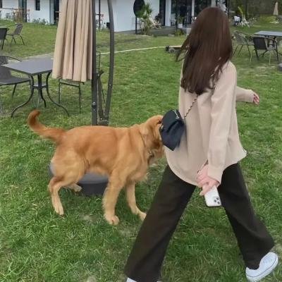 人民公敌第三集